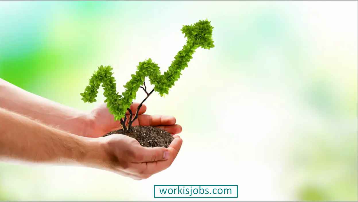 How Twitter Marketing Grow Small Business Fast Way