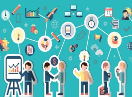 Expert Online Networking Adventures!