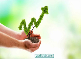 How Twitter Marketing Grow Small Business Fast Way